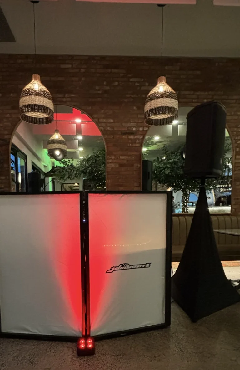 DJ performing to a full corporate room